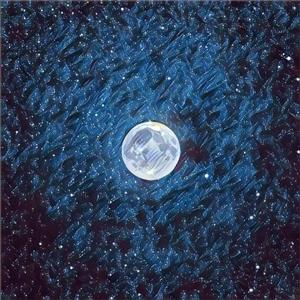 学生一级婬片免费放
