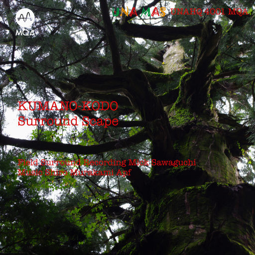 学生一级婬片免费放
